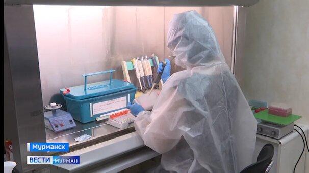 Новые случаи заражения коронавирусом зафиксированы в Мурманской области