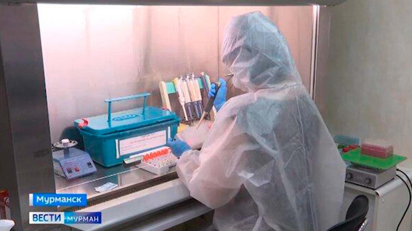 В Мурманской области выявили 11 новых случаев заражения коронавирусом за сутки