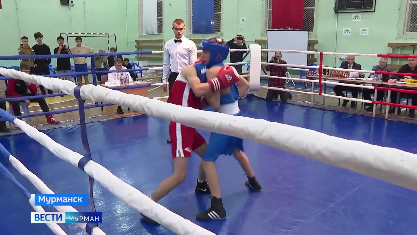 Спортсмены Кольского Заполярья вышли на ринг соревнований по боксу памяти Анатолия Бредова