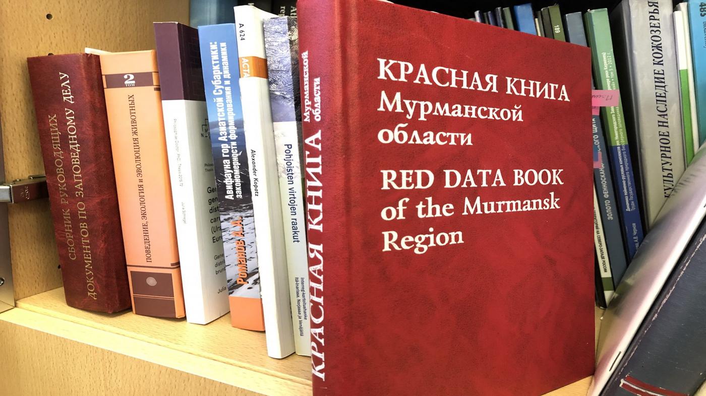 В Мурманской области готовят третье издание Красной книги