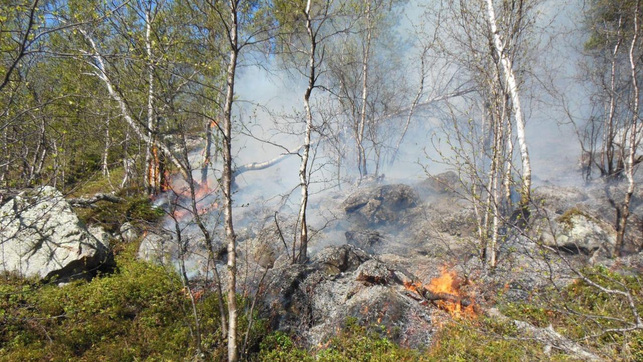 В Мурманской области проведут операцию по предотвращению лесных пожаров