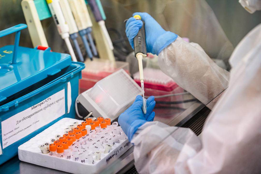За сутки в России выполнили 193 тысячи тестов на коронавирус