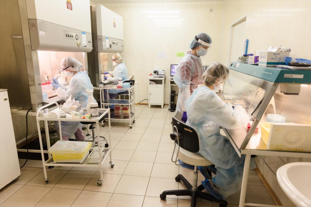 В России за сутки коронавирус выявили у 11 432 человек