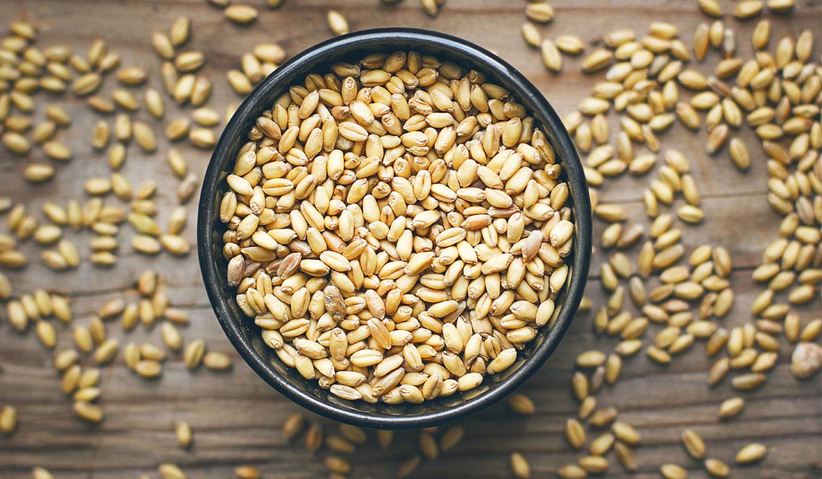 В Мурманскую область привезли неверно задекларированную пшеницу
