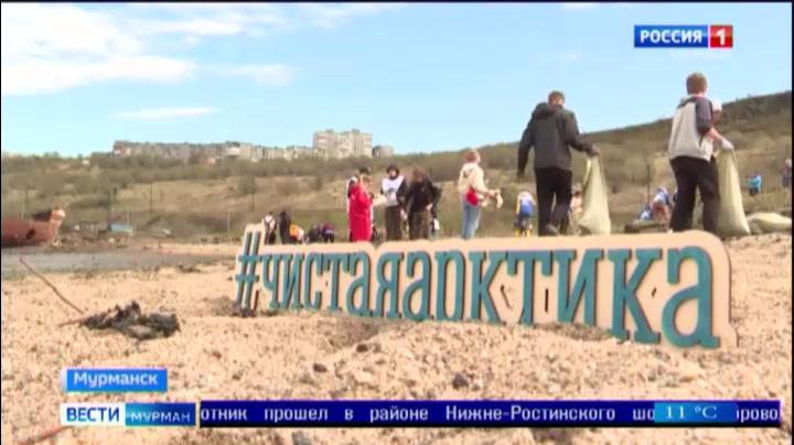 Акция «Океан чистоты» прошла в трех городах Мурманской области