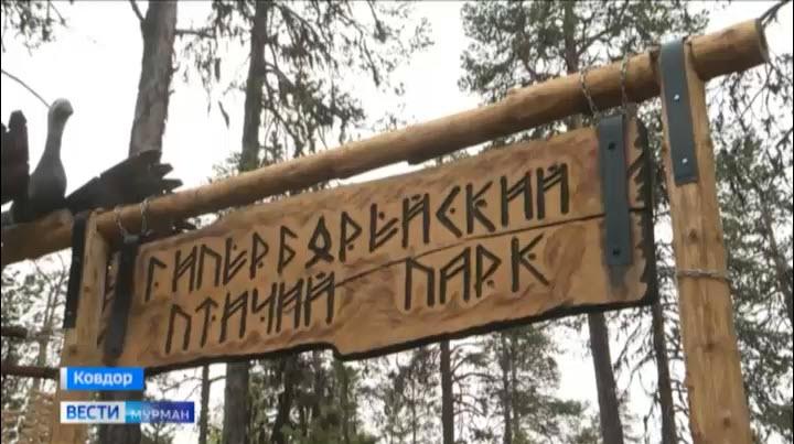 В Ковдоре начались поиски полярной совы и птицы счастья