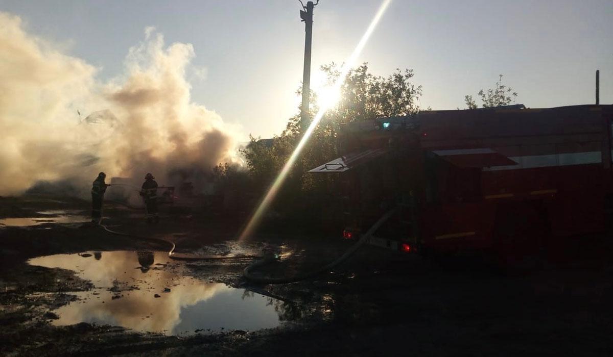 В Мурманской области за неделю произошло 7 лесных пожаров