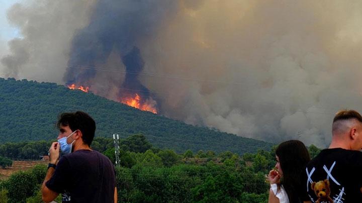 Количество лесных пожаров в Мурманской области в 2022 году сократилось в 2 раза