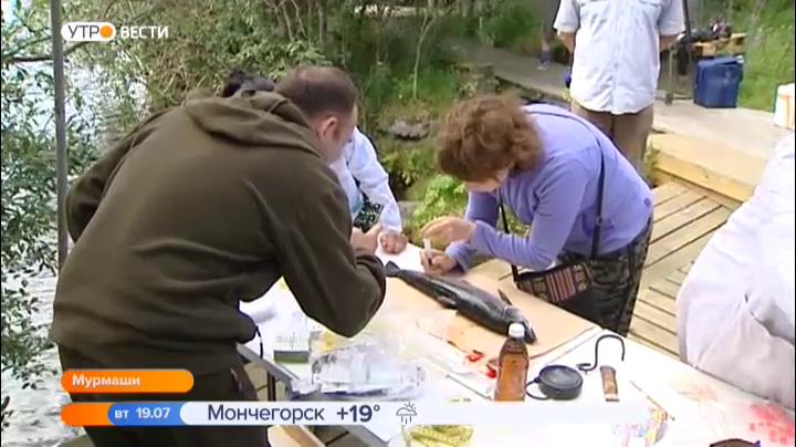 В Мурманской области начался новый мониторинг состояния здоровья ценных пород рыб