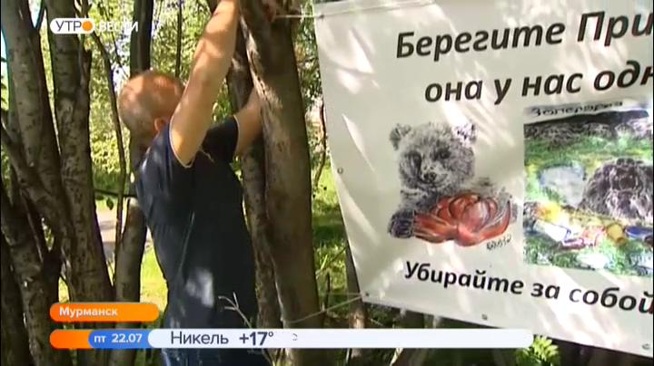 Плакаты на экологическую тему появились у детско-юношеской библиотеки в Мурманске