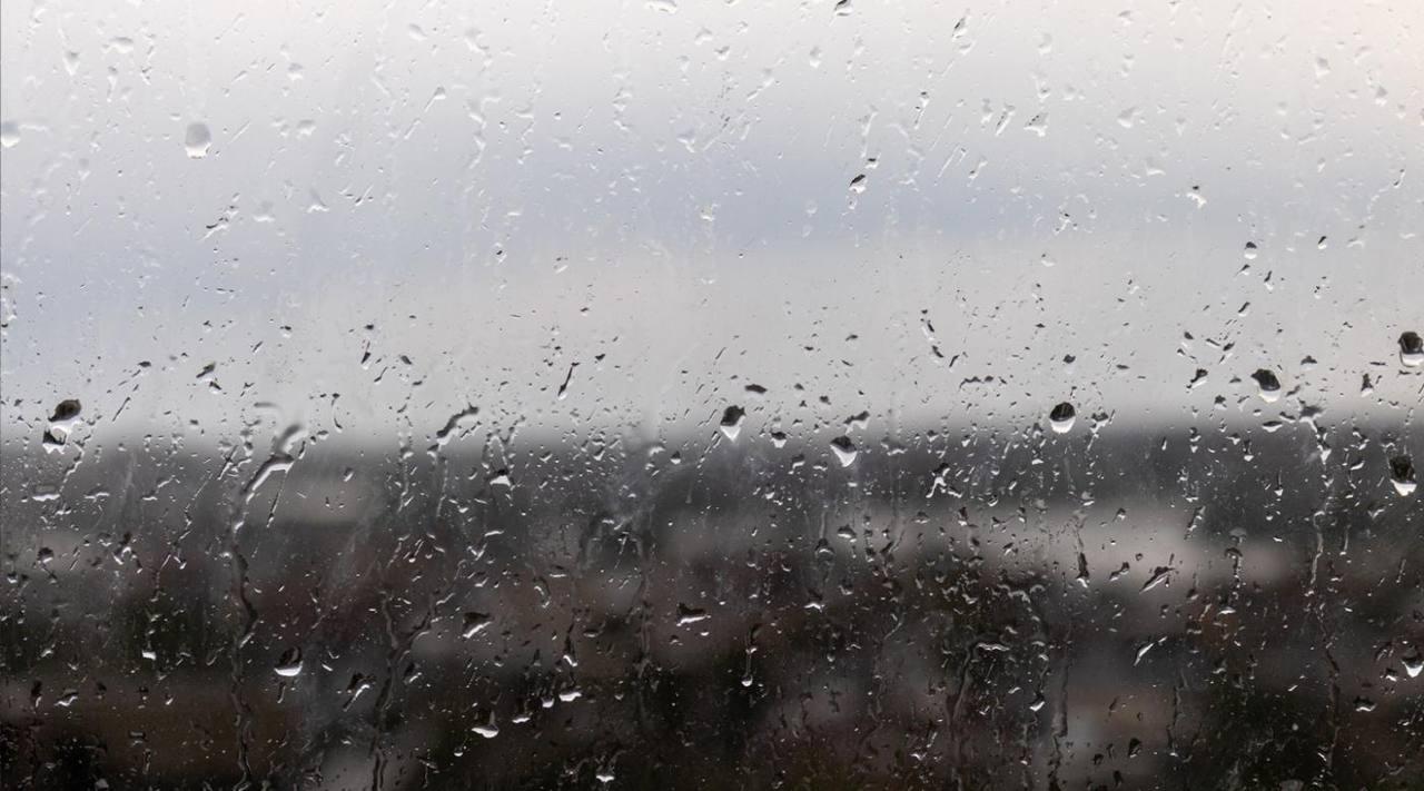 В Мурманской области 30 июля местами пройдут сильные дожди