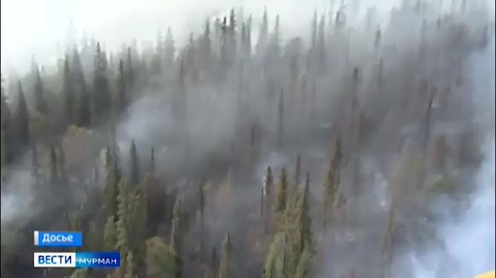 В Мурманской области сократилось количество лесных пожаров