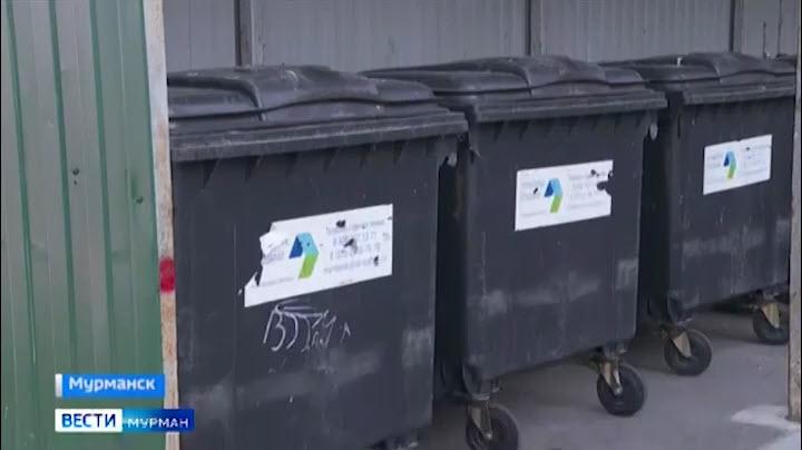 В Мурманске осмотрели чистоту 15 контейнерных площадок