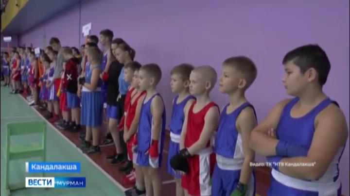 В Кандалакше прошел турнир по боксу памяти тренера детско-юношеской спортивной школы