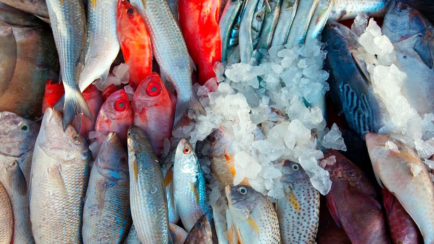 Рыбоперерабатывающая компания из Мурманской области представляет регион на выставке в Бразилии