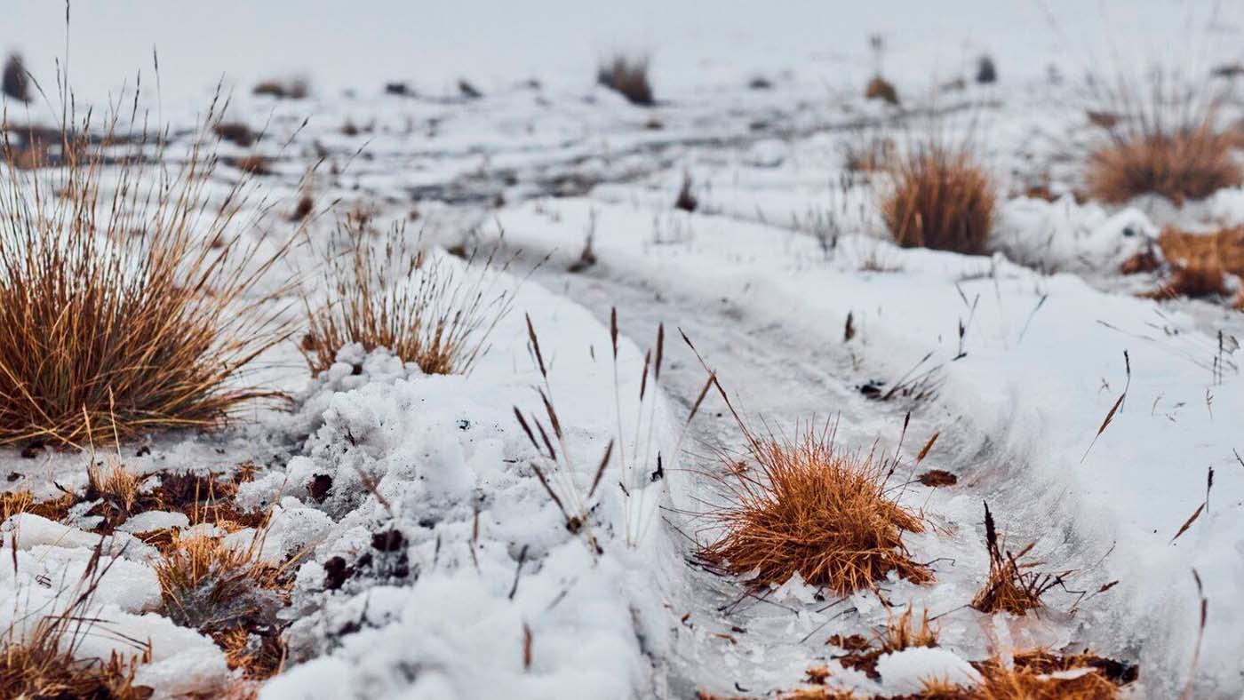 В Мурманской области 25 октября местами пройдет снег