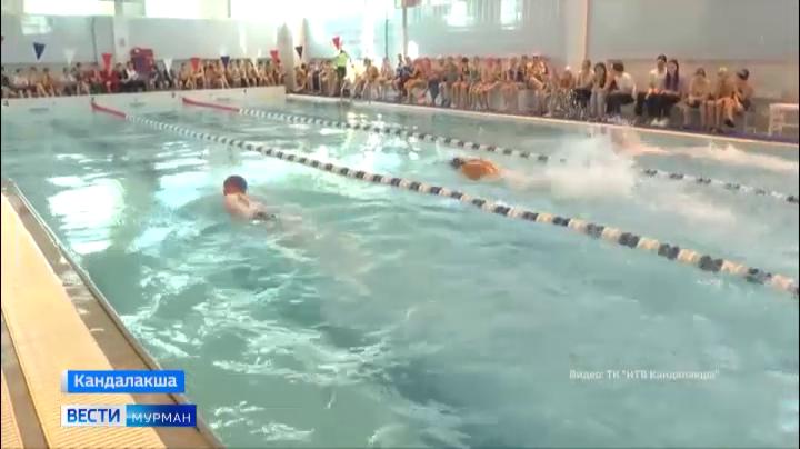 В Кандалакше состоялся городской чемпионат по плаванию