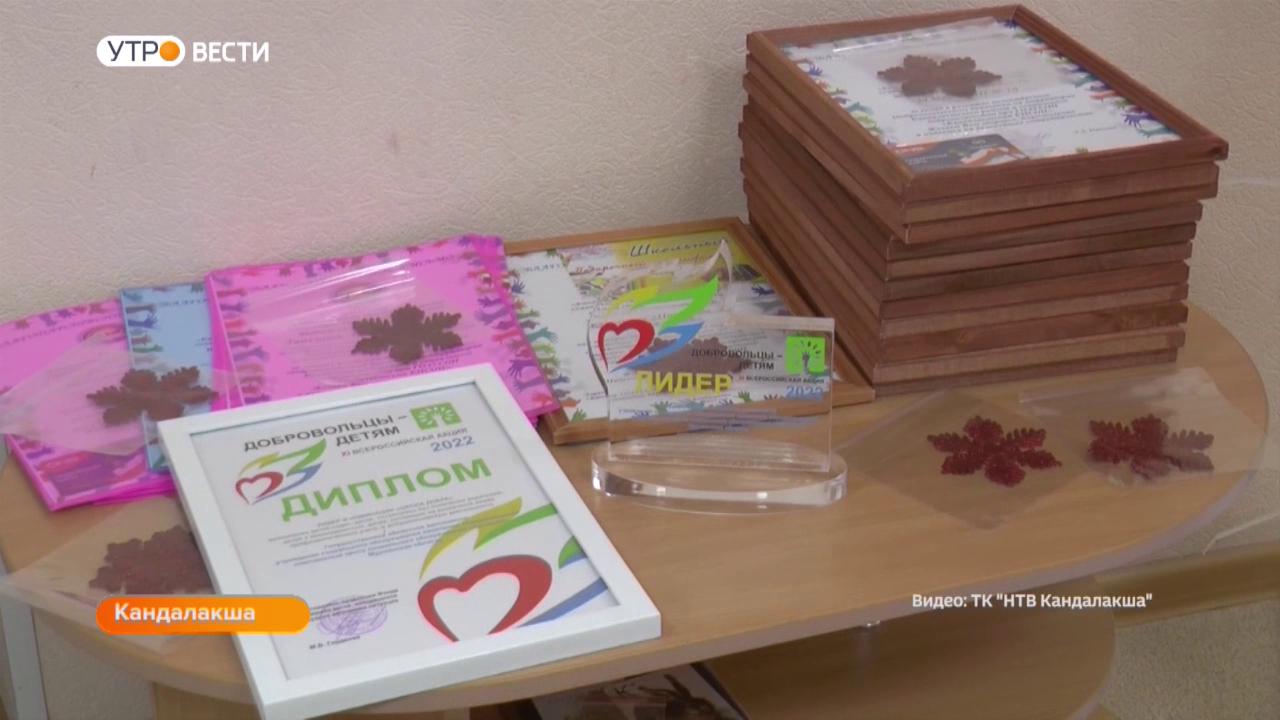 Работу социальных волонтеров Кандалакшского района отметили в правительстве РФ
