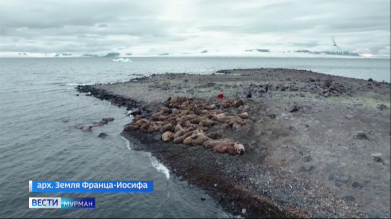 О работе ученых в Арктике расскажет новый документальный фильм &quot;Архипелаг Земля&quot;