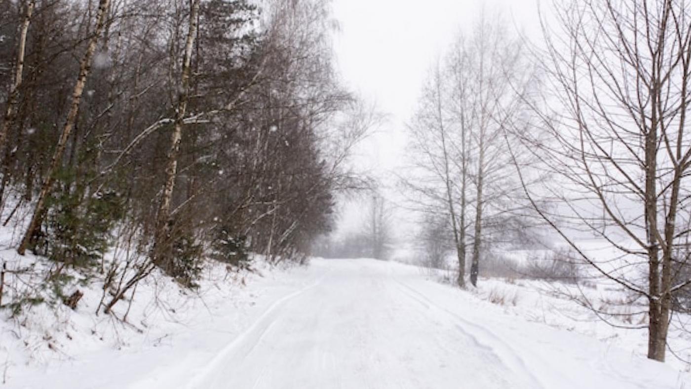 В Мурманской области 19 января ожидаются сильные снегопады