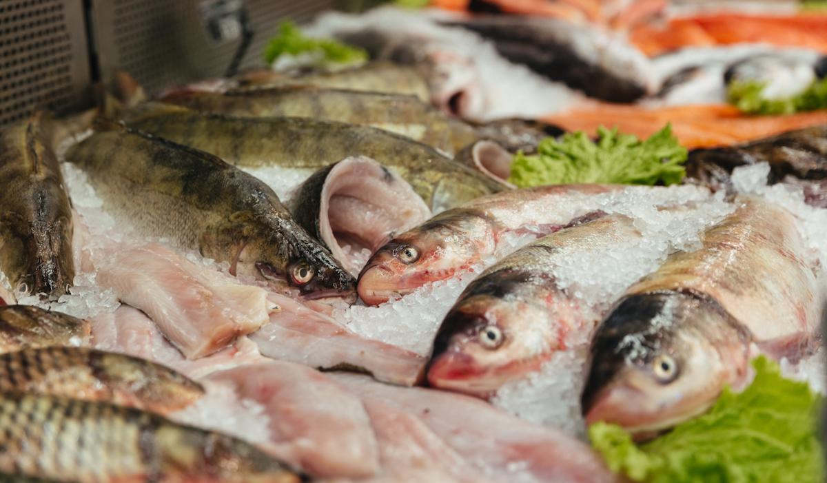 Три фантомных предприятия по переработке рыбы выявили в Мурманской области