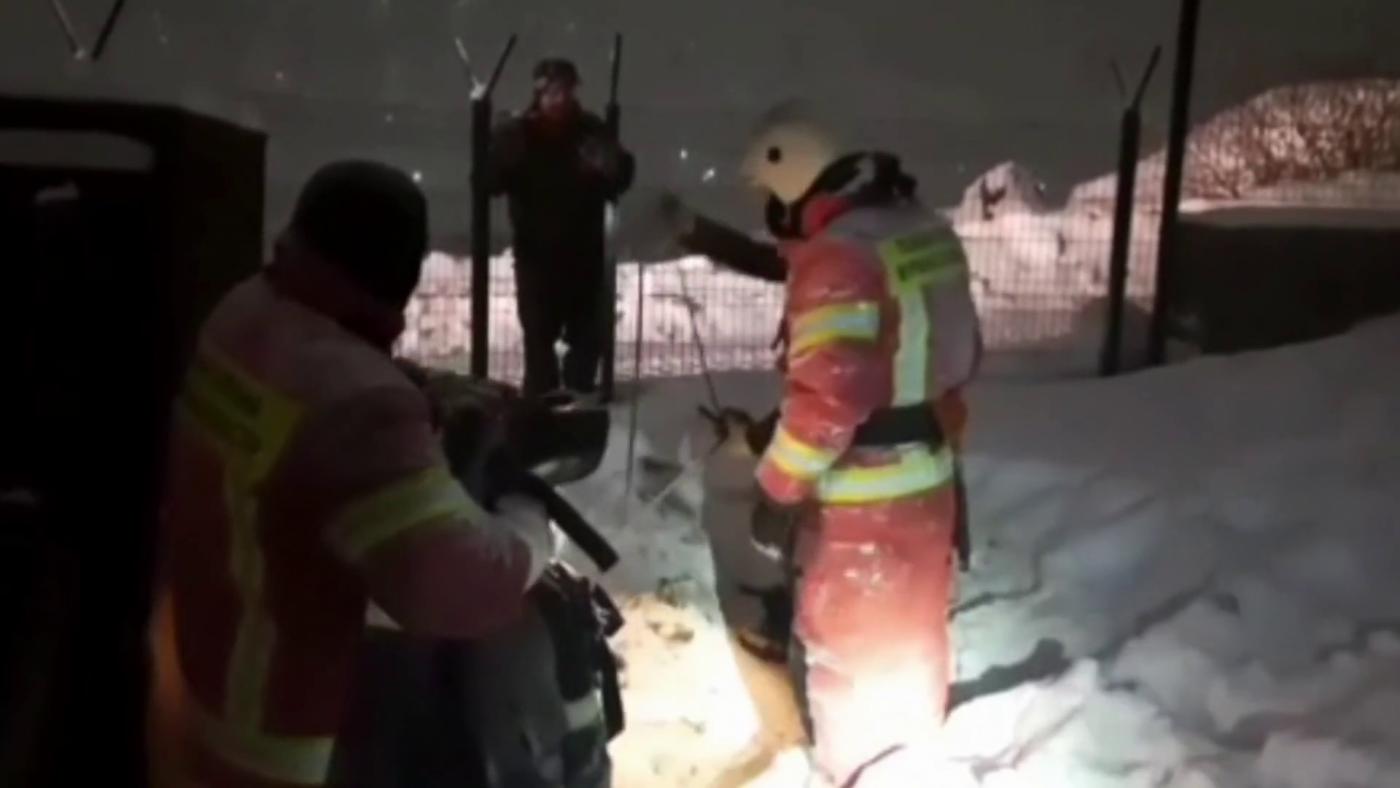 В Заполярном пожарные спасли собаку из колодца с водой