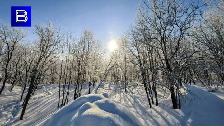 Небольшой снег ожидается в Мурманской области 28 марта