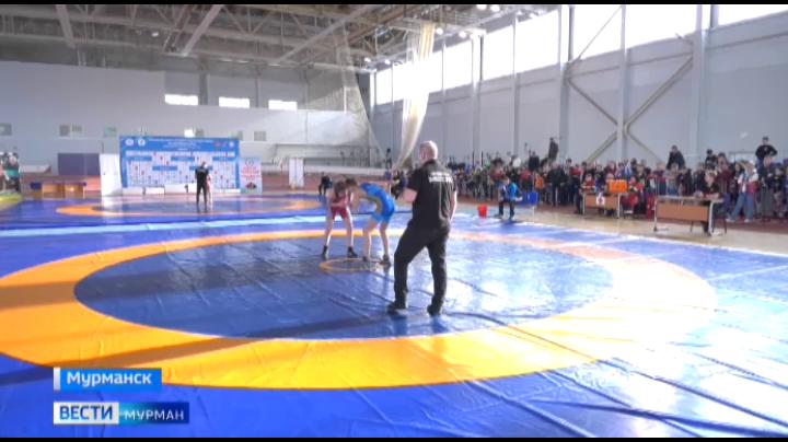 Спортсмены из Мурманской области завоевали 18 медалей в первенстве СЗФО по греко-римской борьбе