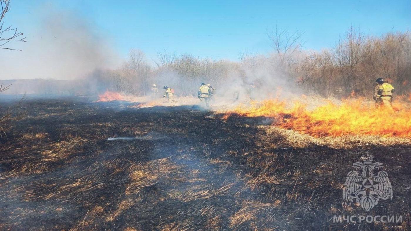 На территории Мурманской области установлен пожароопасный сезон