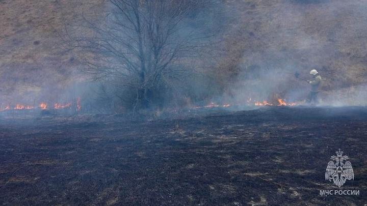В Мурманской области нарушителей пожарной безопасности в лесах оштрафовали на 90 тысяч рублей