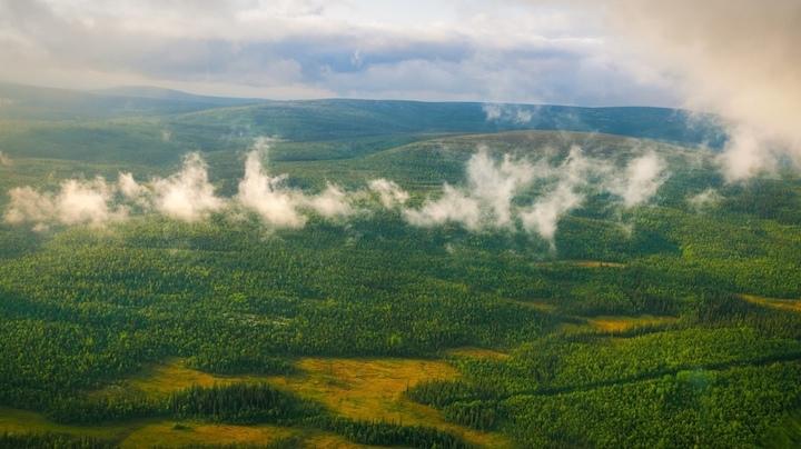В лесах Мурманской области продлили ограничения