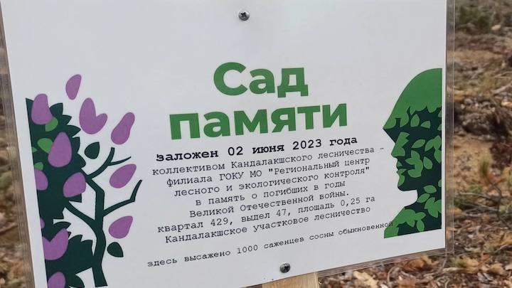 &quot;Сад памяти&quot;: в Мурманской области высадили 9,7 тыс. деревьев и кустарников