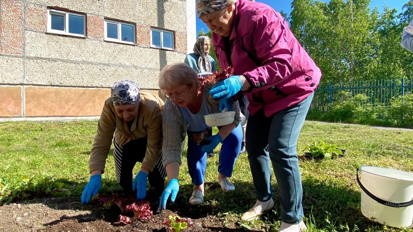 В Апатитах пожилые северяне высадили витаминную зелень и цветы