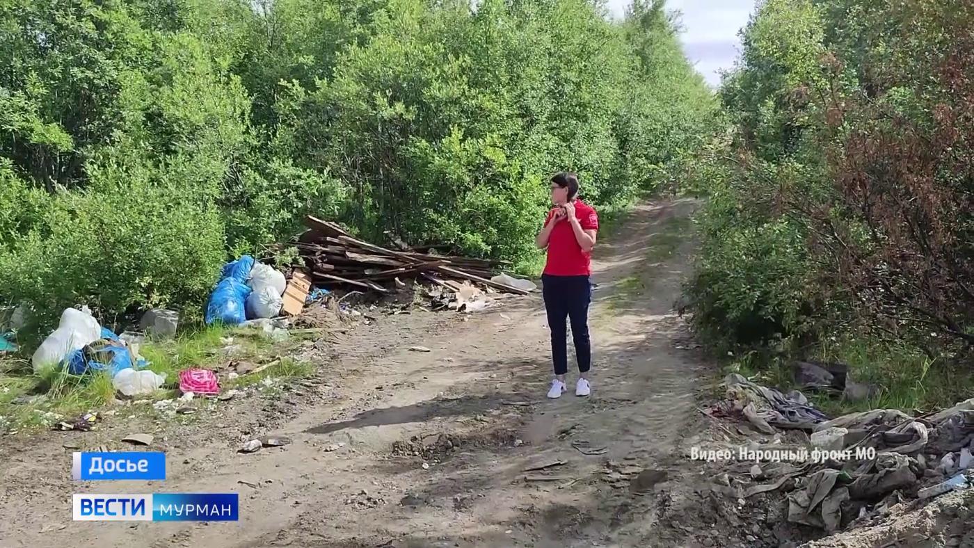 Народный фронт устранил стихийную свалку в лесу под Мурманском