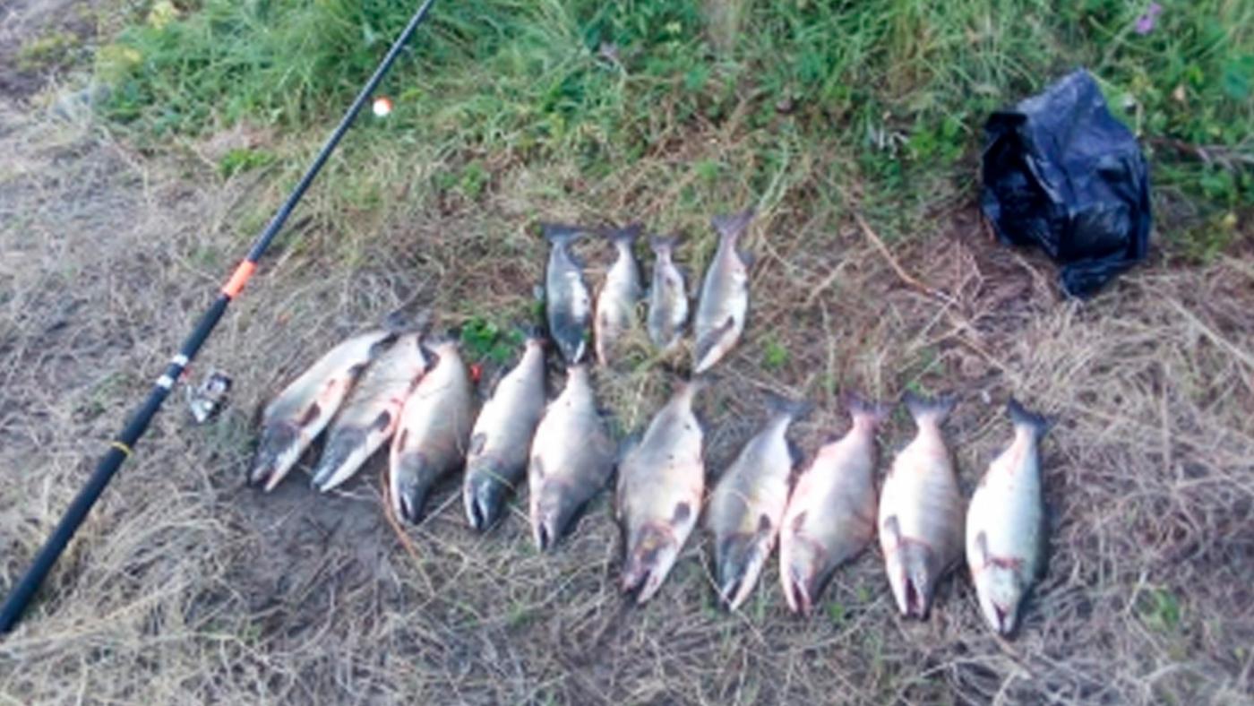 Рыбалка без спецразрешения в Мурманской области закончилась для вологжанина уголовным делом