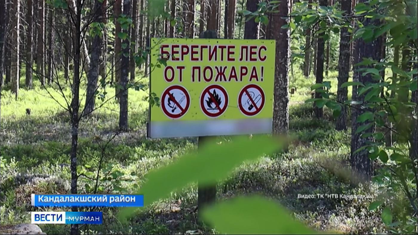В Мурманской области ожидается 5 класс пожарной опасности