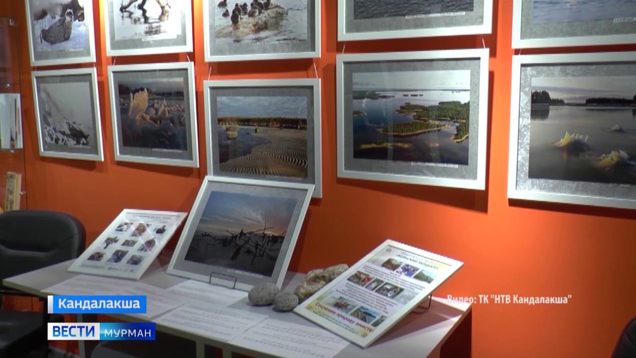 В модельной библиотеке Кандалакши открылась фотовыставка &quot;Это живое Белое море&quot;