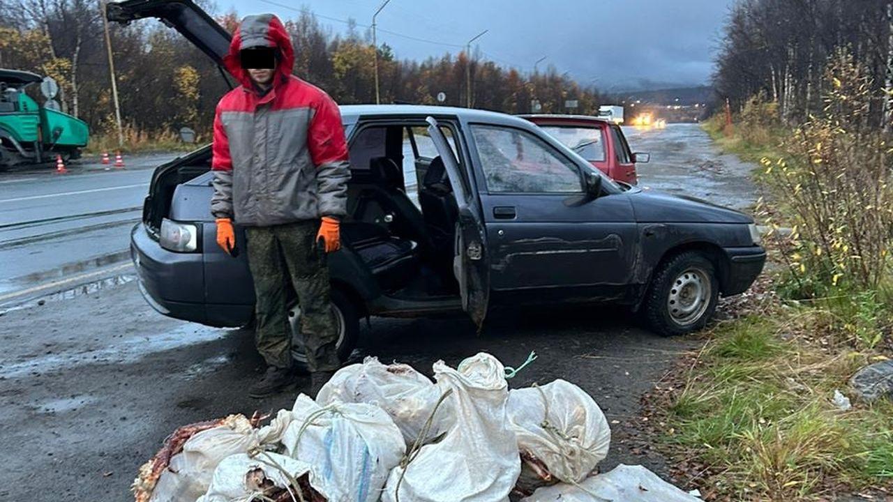 Перевозившего четверть тонны камчатского краба поймали на Североморском шоссе 
