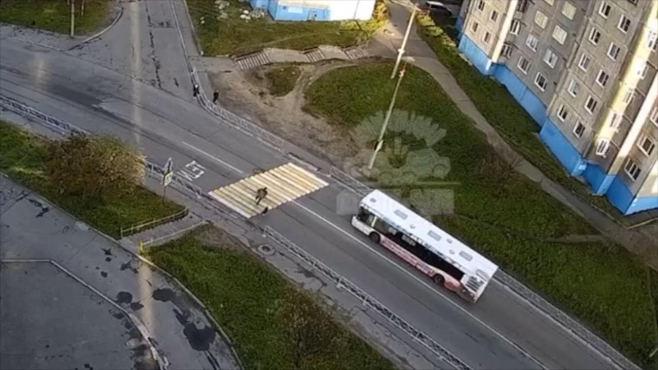 На Скальной в Мурманске мужчину сбил автобус