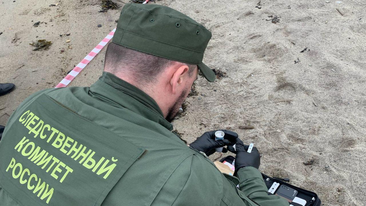 В Териберке на берегу нашли человеческие останки