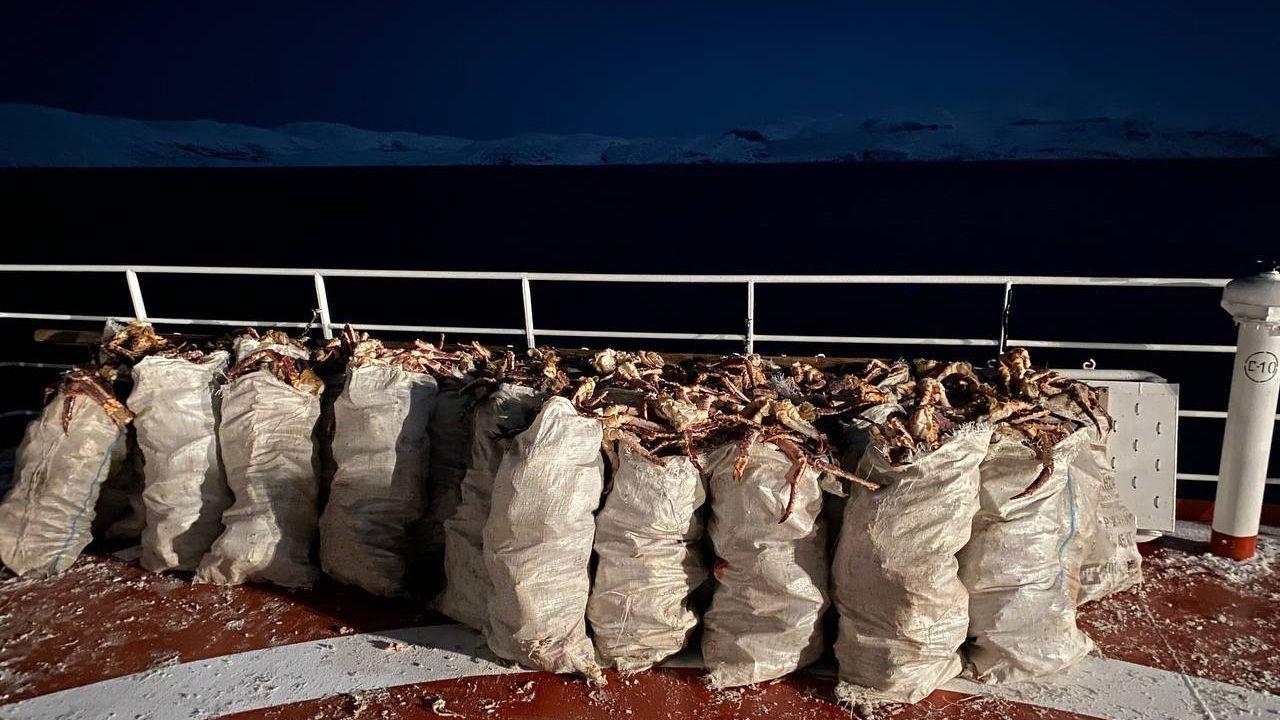 Перевозившее более тонны камчатского краба судно перехватили пограничники в Баренцевом море 
