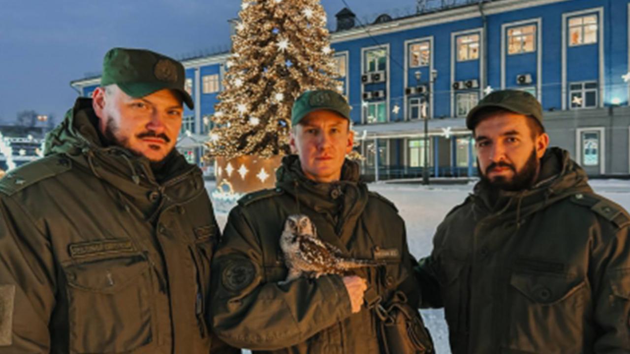 Криминалисты следственного комитета Мурманской области взяли шефство над двумя ранеными совами