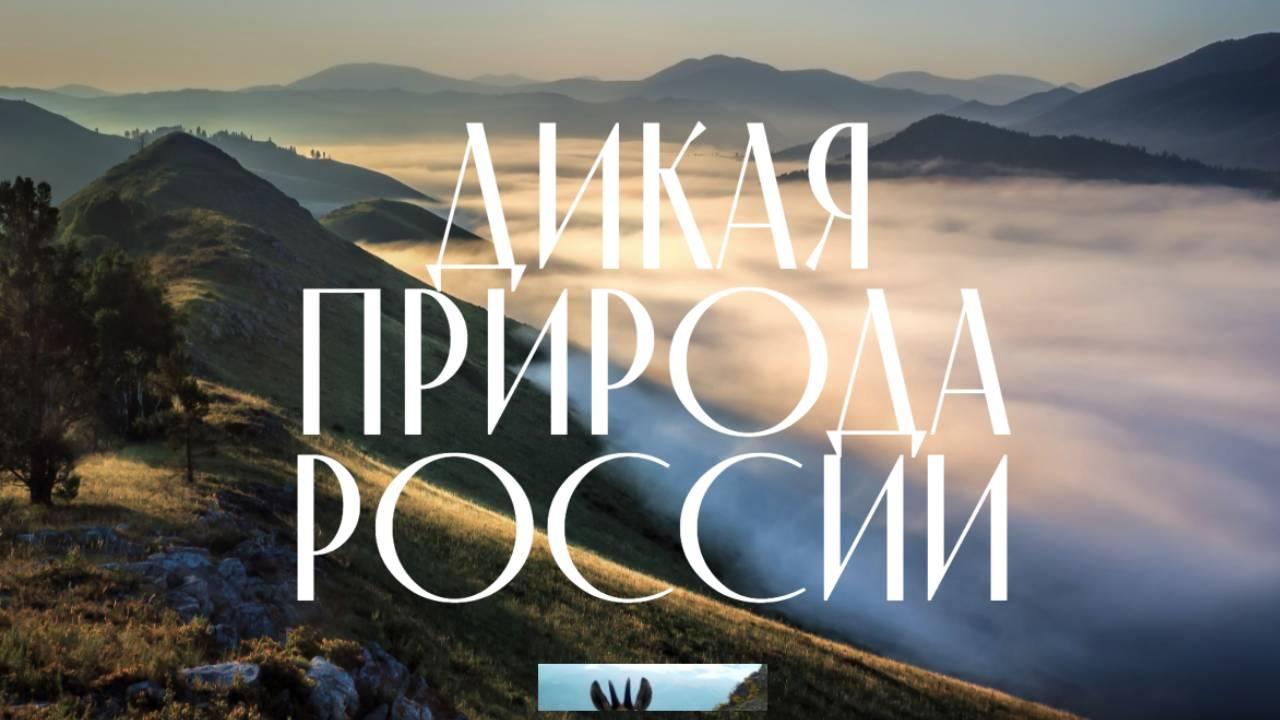 В День заповедников и национальных парков начал работу сайт &quot;Дикая природа России&quot;