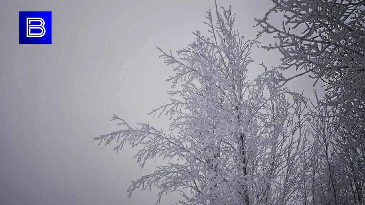 В Мурманской области 14 января ожидается похолодание до минус 17 градусов