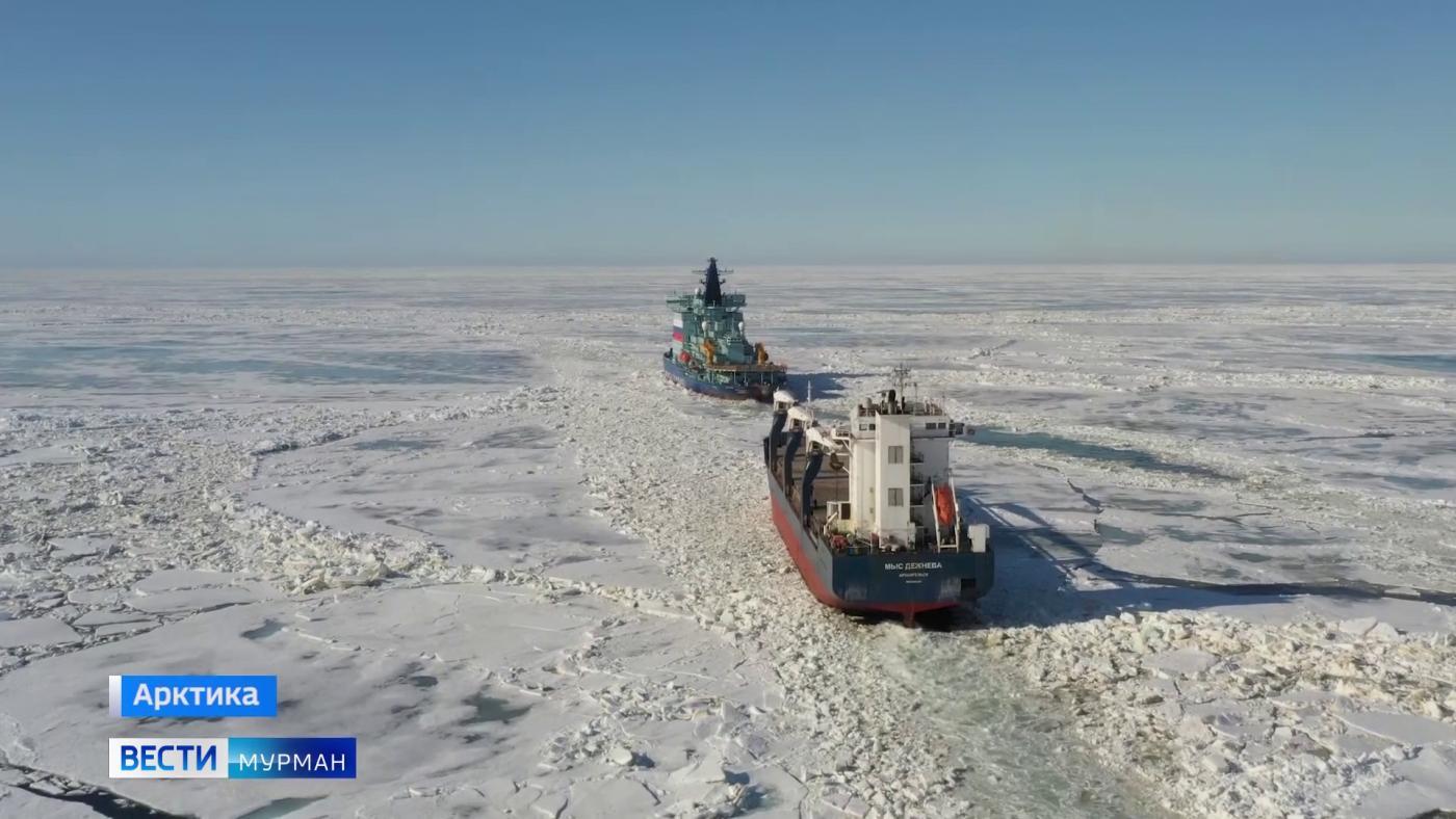 За Арктику возьмутся подводные роботы-планеры