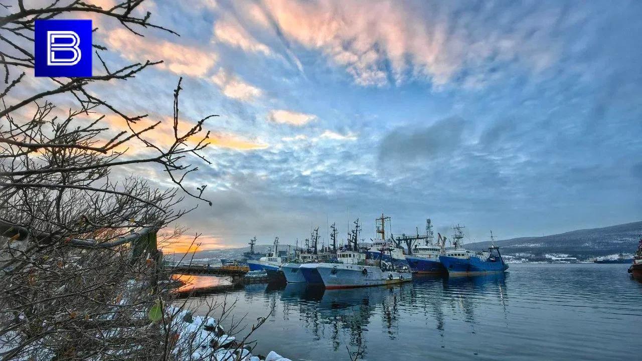 Свыше 166 тысяч тонн рыбы и морепродуктов отправили на экспорт из Мурманской области в 2023 году