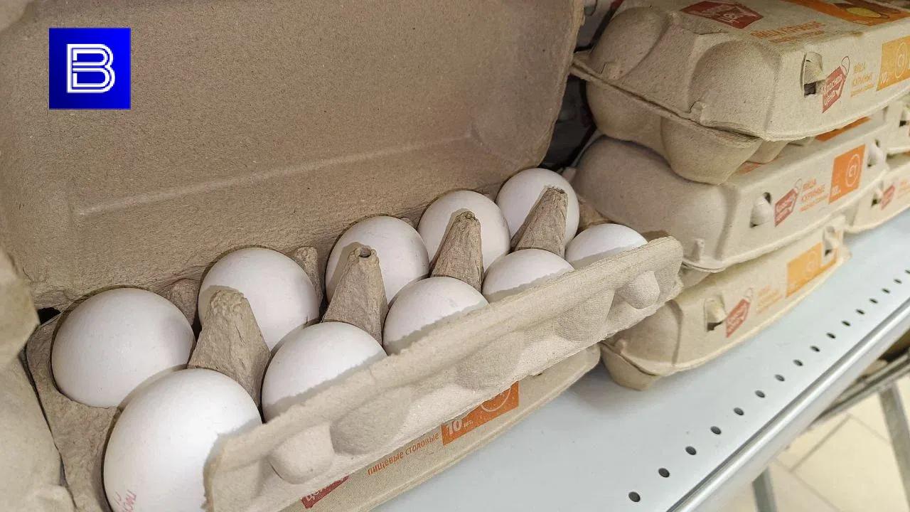 В России за 2023 год выросло производство куриных яиц 