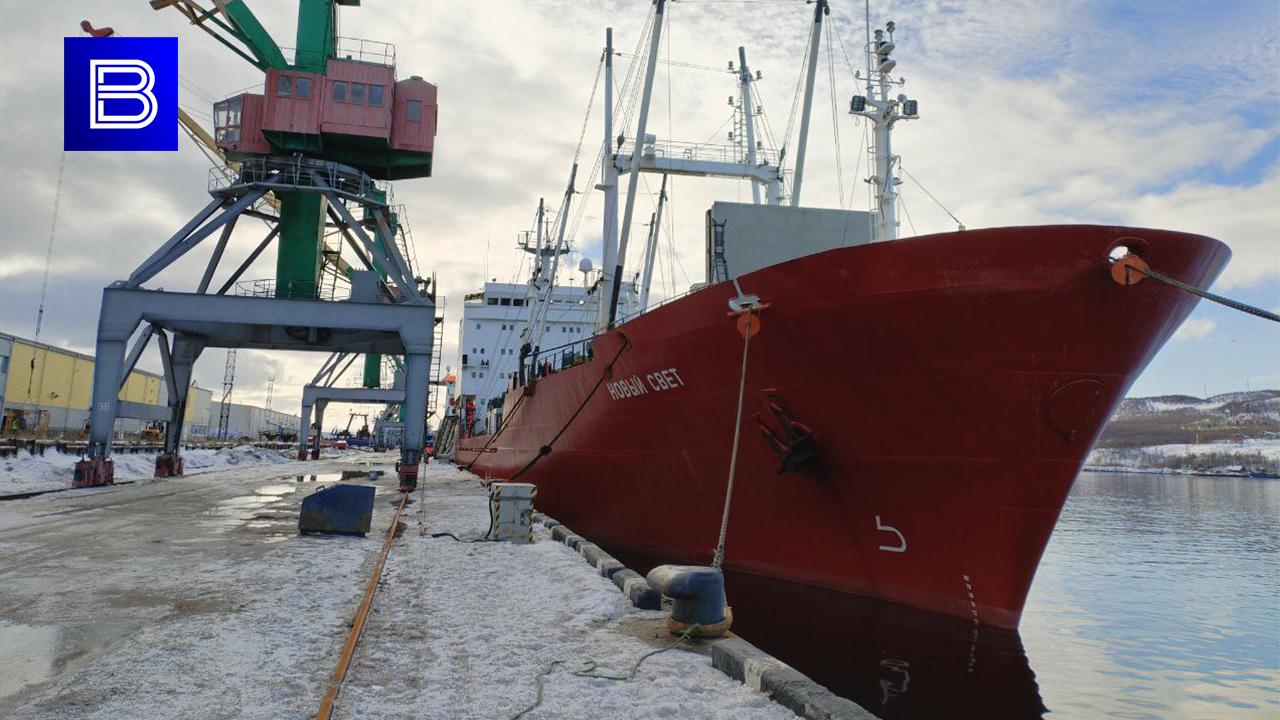 Судно &quot;Новый свет&quot; доставило в Мурманский морской рыбный порт первые 4,1 тысячи тонн мойвы