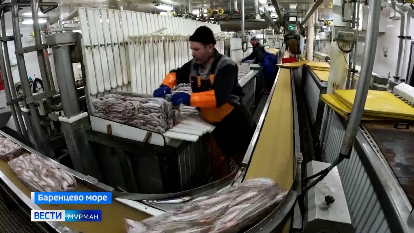 Мойва в Мурманске: первое в 2024 году судно с &quot;народной рыбкой&quot; на борту зашло в заполярный порт