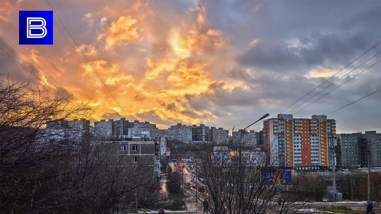 В Мурманской области 14 марта ожидается метель